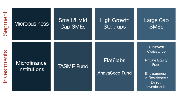 taef-investment-strategy